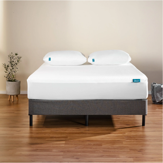 Bartholomew Modern Mattress Protector Queen