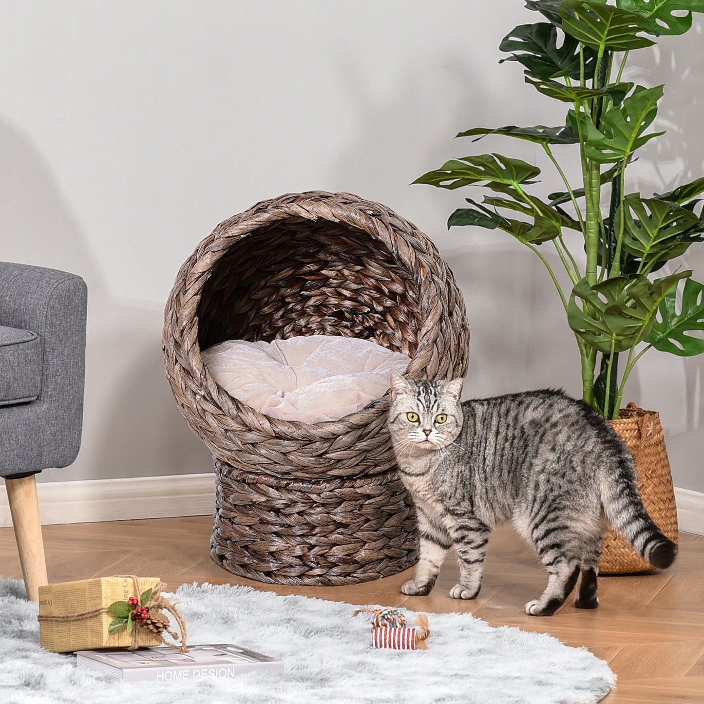 Amity Contemporary Handwoven Elevated Cat Bed