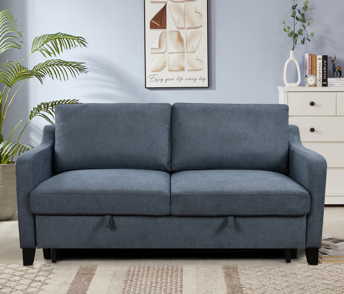Napa Modern Darby Convertible Sleeper Sofa