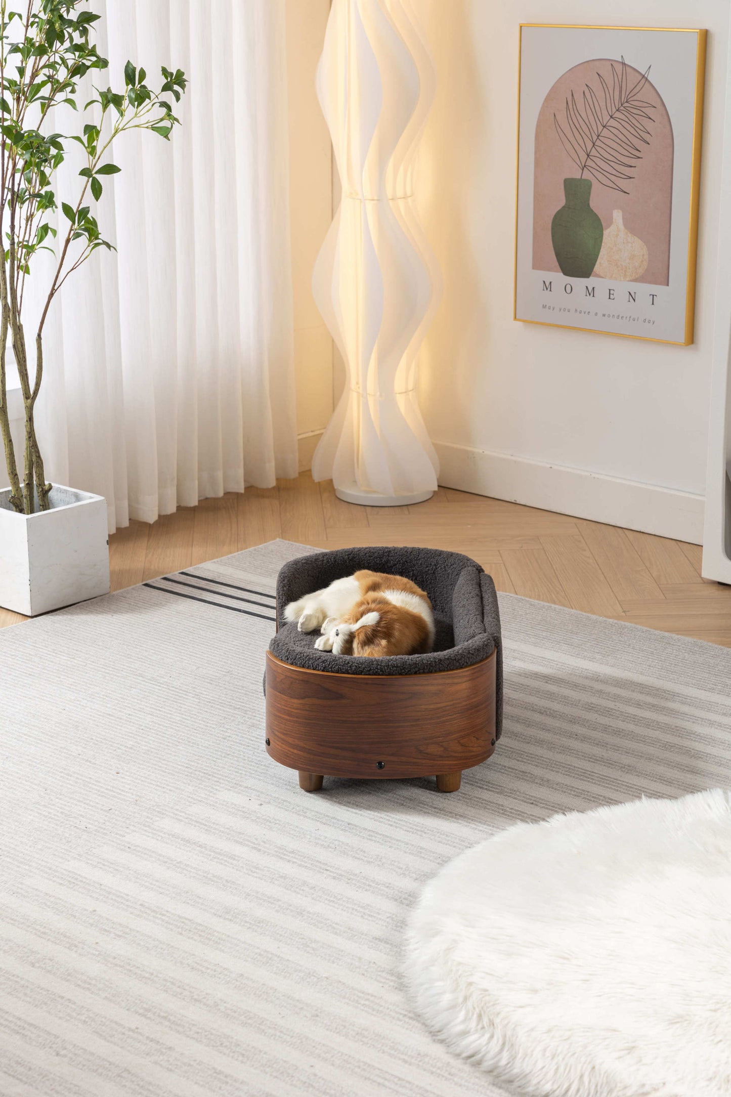 Kingsly Contemporary Velvet Elevated Pet Sofa.