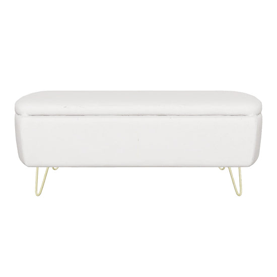 Emery Modern Storage Ottoman 3D model
