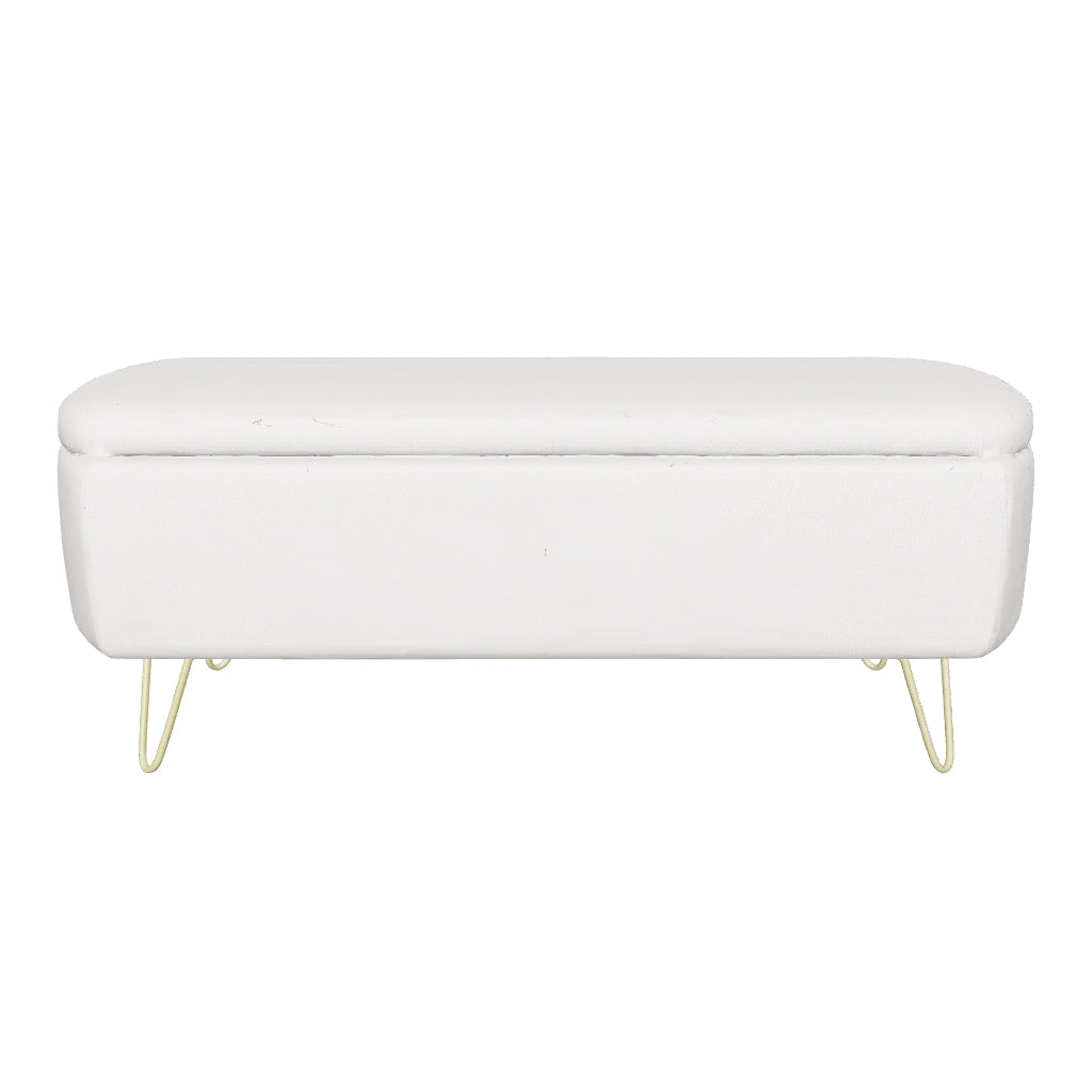 Emery Modern Storage Ottoman 3D model