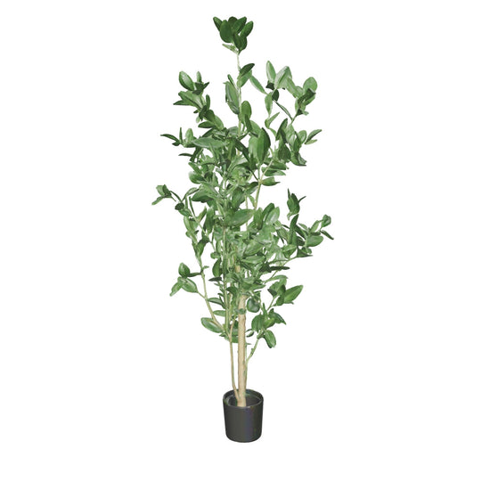 Somerset Contemporary Tree Artificial Plant 3D model